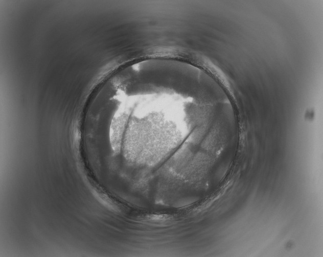 X0000116800059201001151131