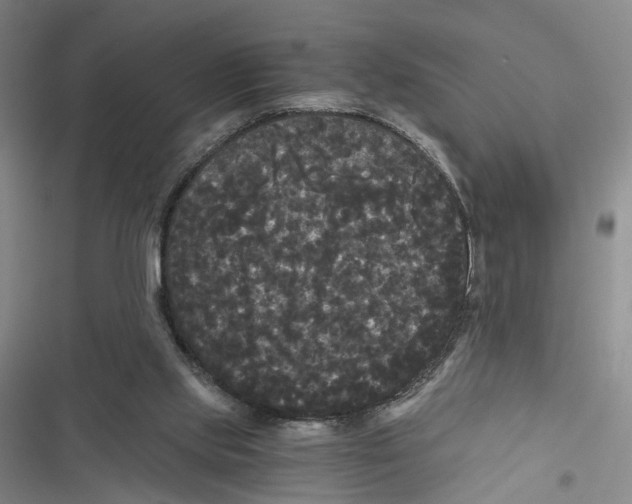 X0000116800061201001151131