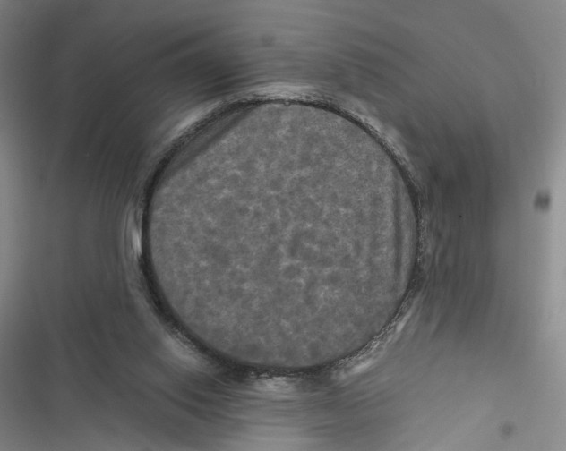 X0000116800062201001151131