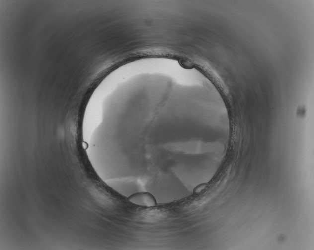X0000116800063201001151131