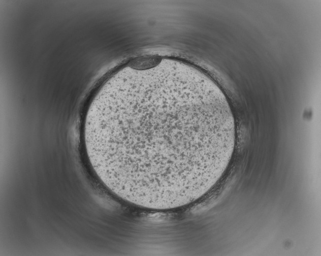 X0000116800064201001151131