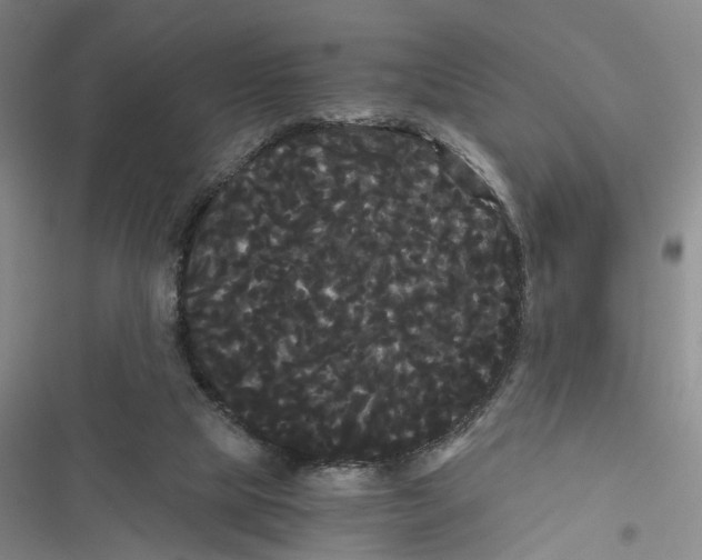 X0000116800065201001151131
