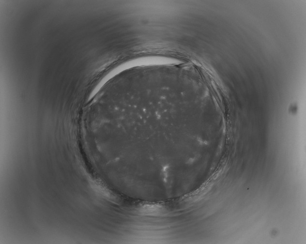 X0000116800066201001151131