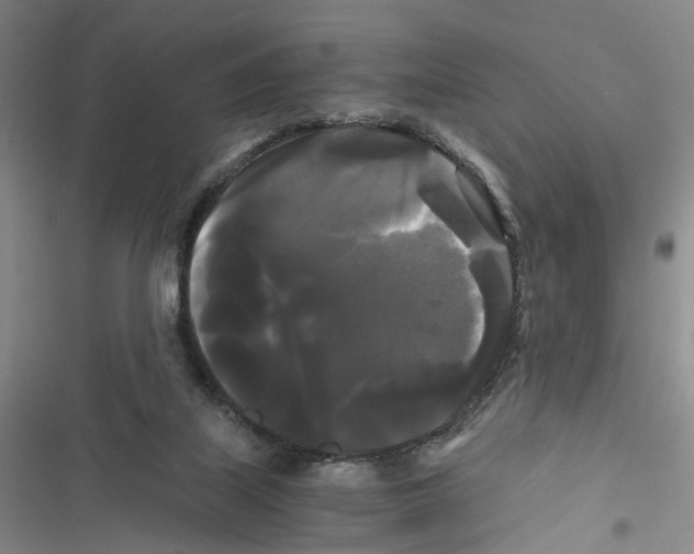 X0000116800067201001151131