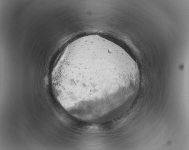 X0000116800068201001151131