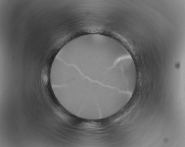 X0000116800069201001151131