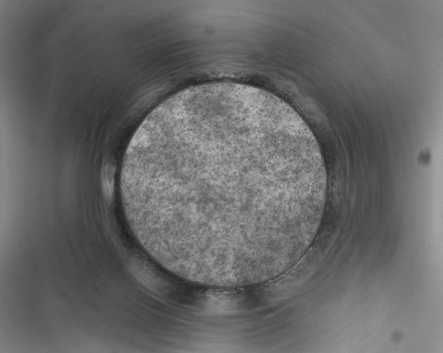 X0000116800070201001151131