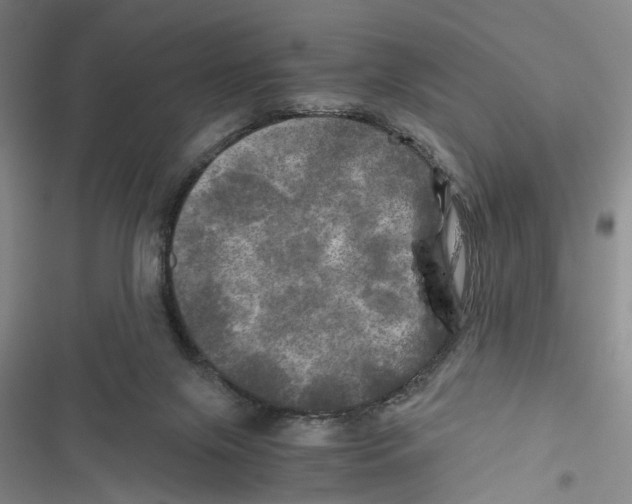 X0000116800071201001151131