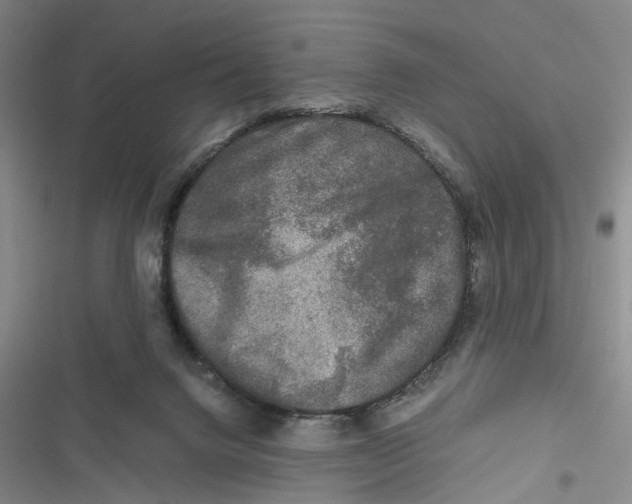X0000116800072201001151131