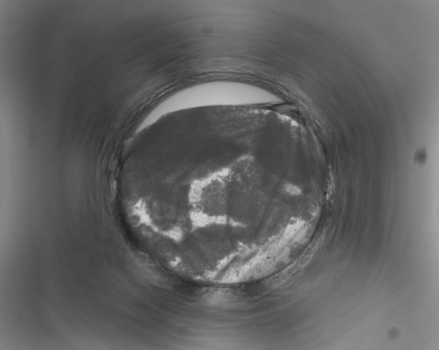X0000116800074201001151131