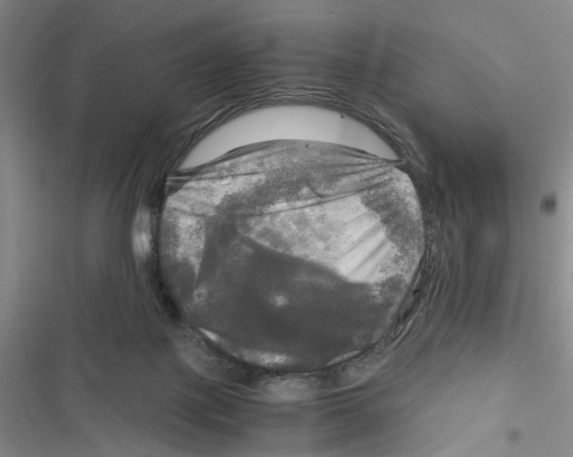 X0000116800075201001151131