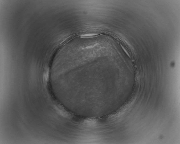 X0000116800076201001151131