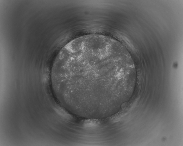 X0000116800077201001151131