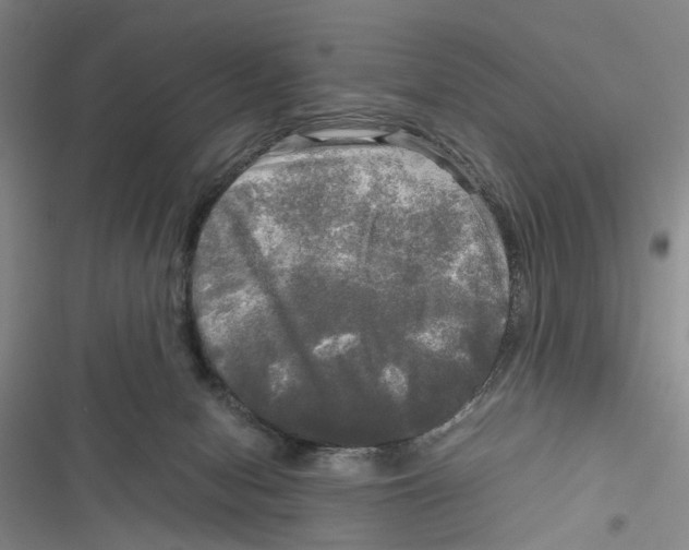 X0000116800078201001151131