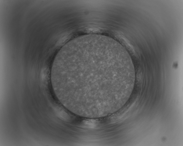 X0000116800079201001151132