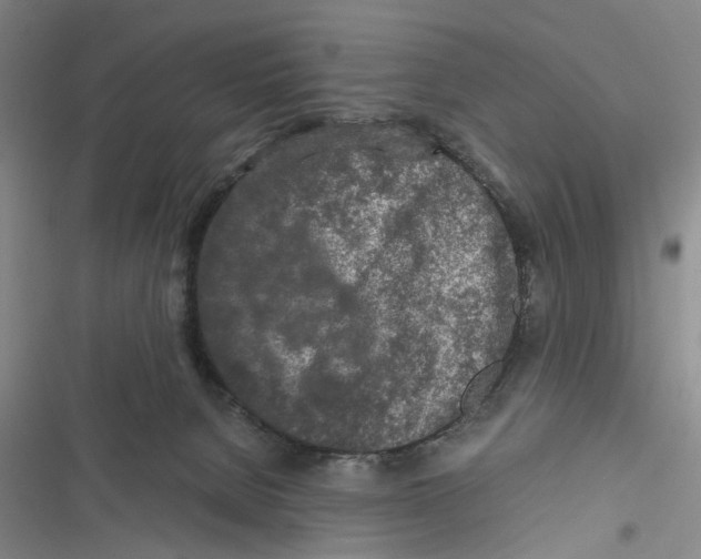 X0000116800080201001151132