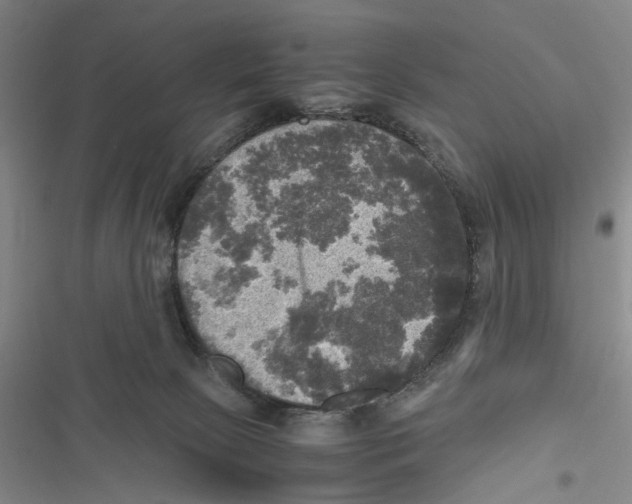 X0000116800081201001151132