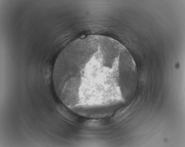 X0000116800082201001151132