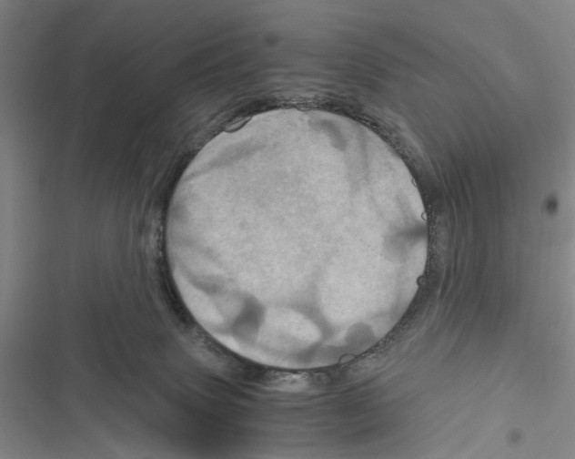 X0000116800083201001151132