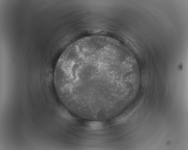 X0000116800085201001151132