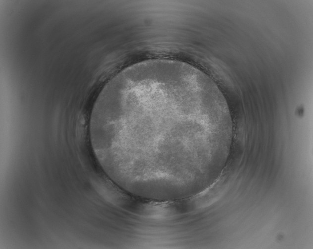 X0000116800086201001151132