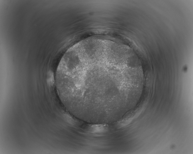 X0000116800089201001151132