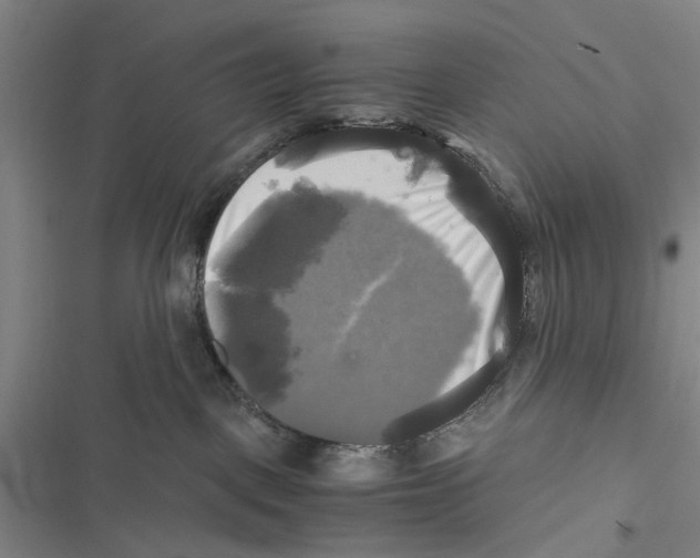 X0000116800093201001151132