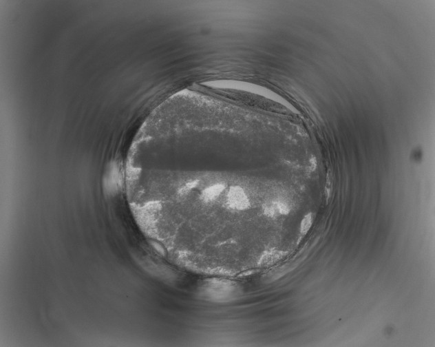 X0000116800095201001151132