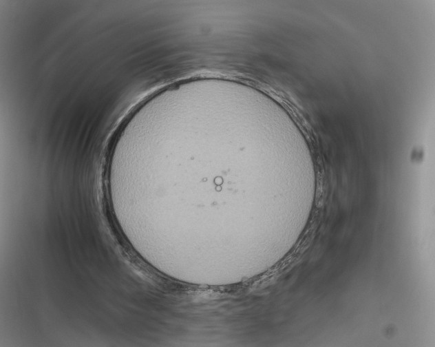 X0000116800098201001151131