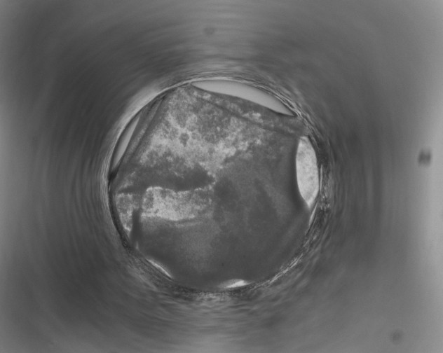 X0000116800099201001151131