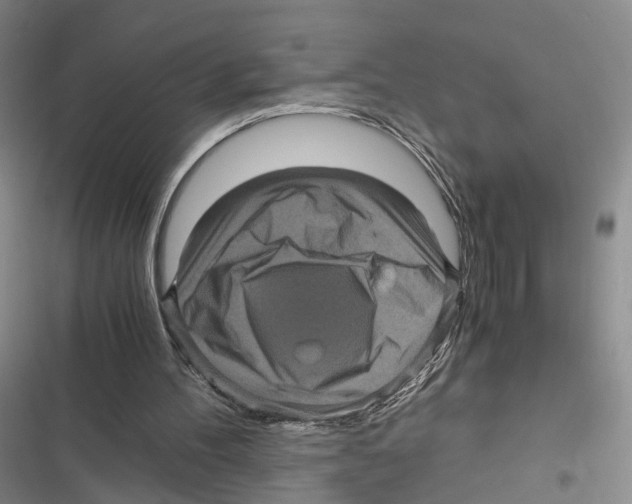 X0000116800100201001151131