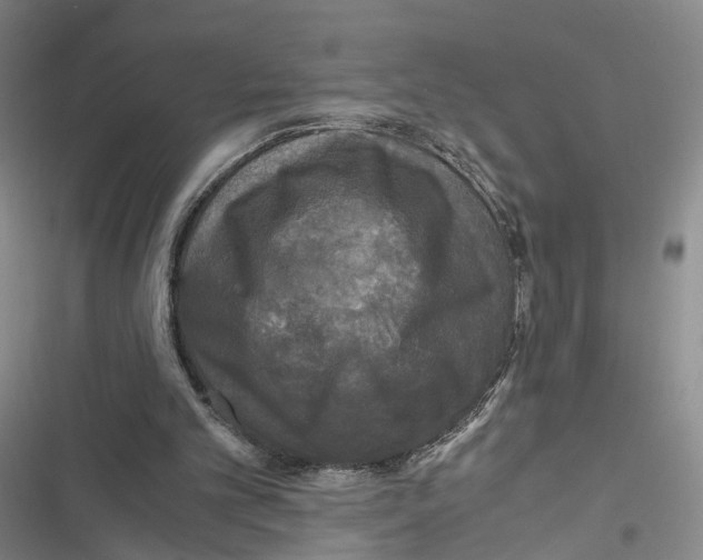 X0000116800101201001151131