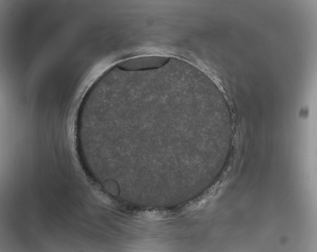 X0000116800103201001151131