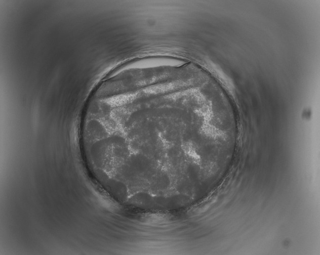 X0000116800107201001151131