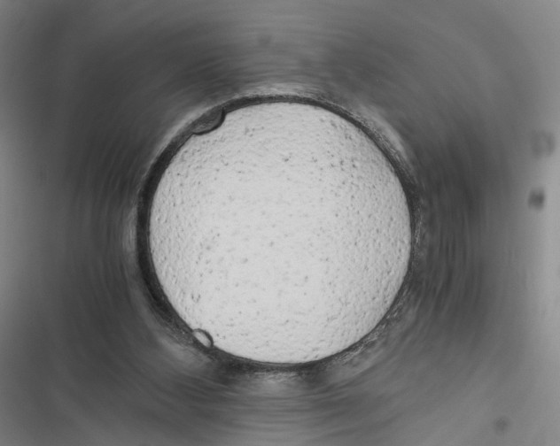 X0000116800108201001151131