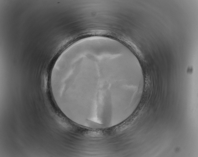 X0000116800110201001151131