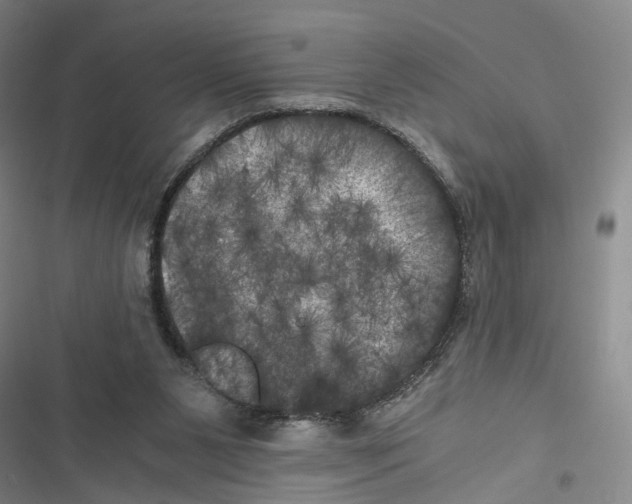 X0000116800111201001151131