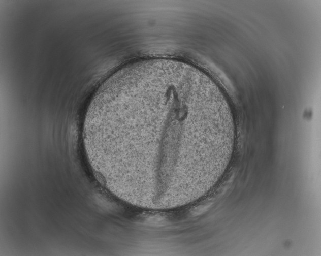 X0000116800113201001151131