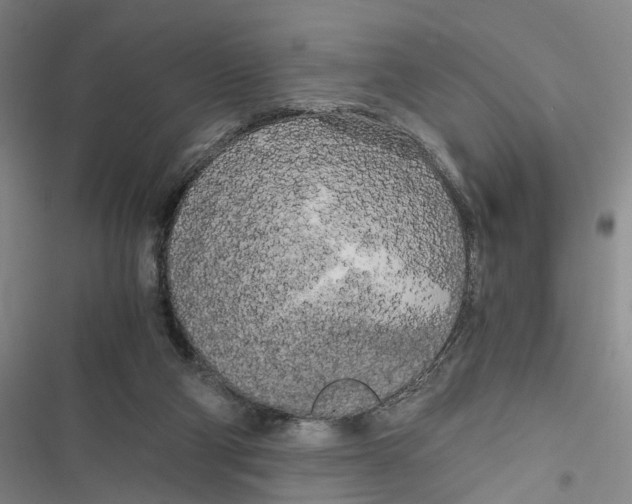 X0000116800114201001151131