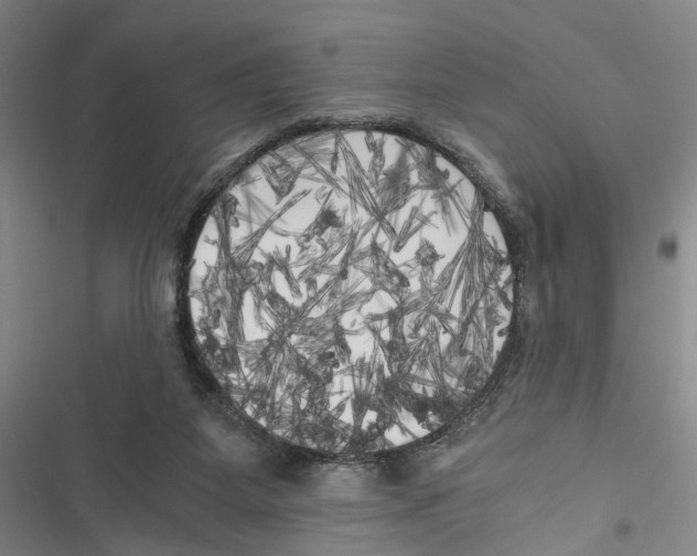 X0000116800115201001151131
