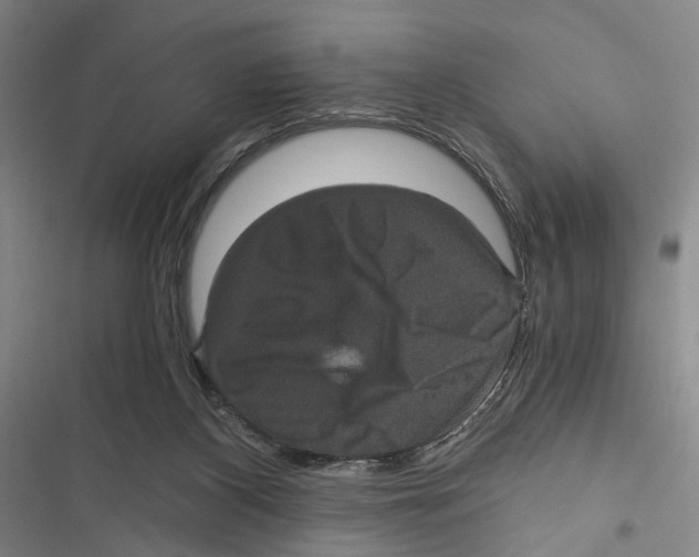 X0000116800116201001151131