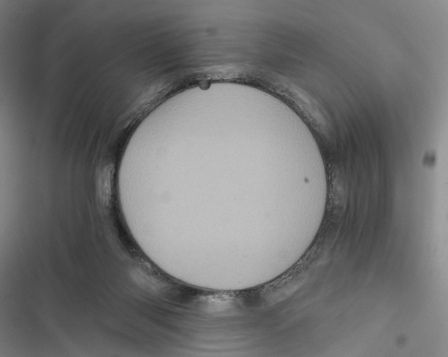 X0000116800118201001151131