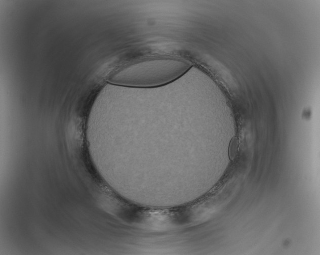 X0000116800121201001151131
