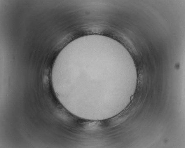X0000116800122201001151131
