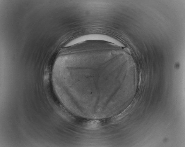 X0000116800124201001151131