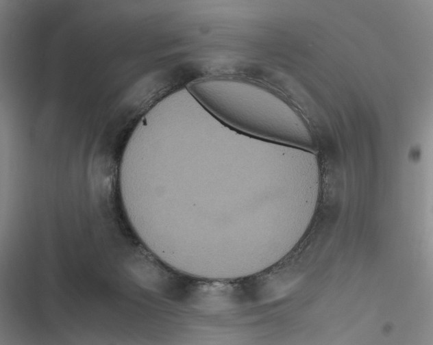 X0000116800125201001151131