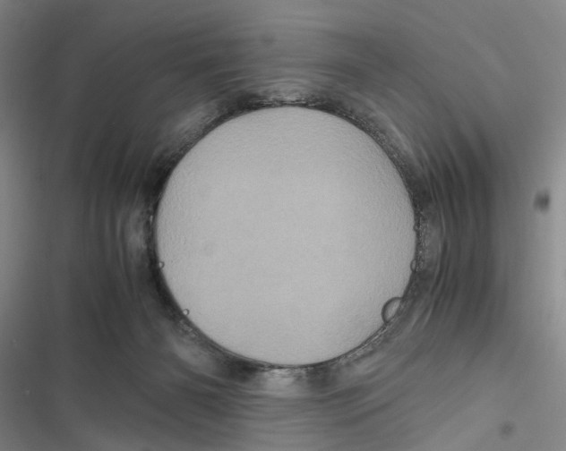 X0000116800126201001151131