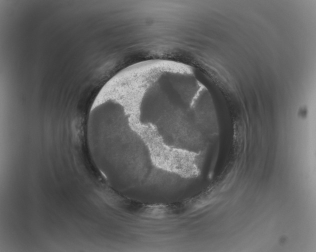 X0000116800127201001151131