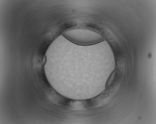X0000116800129201001151131