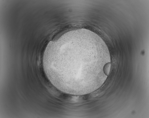 X0000116800130201001151131